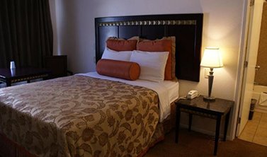 Harborview Inn and Suites - Queen Room